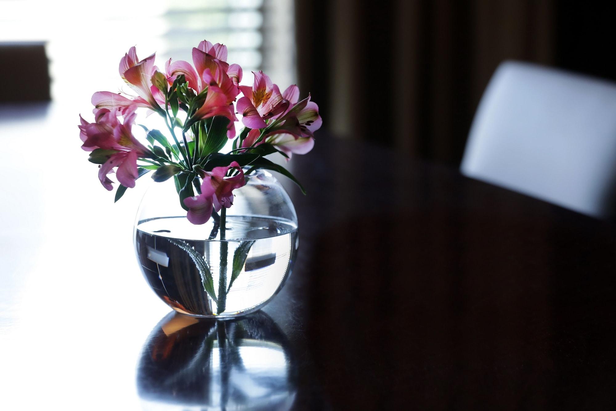 พาร์ค ไฮแอท เมนโดซา Hotel ภายนอก รูปภาพ A flower vase